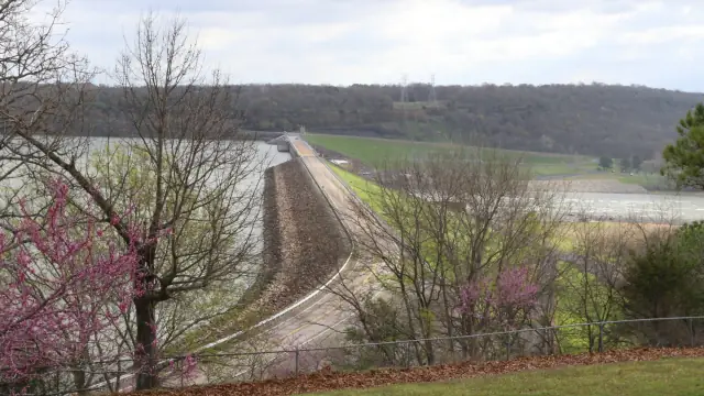 Redbuds blooming along the top of Eufaula Dam