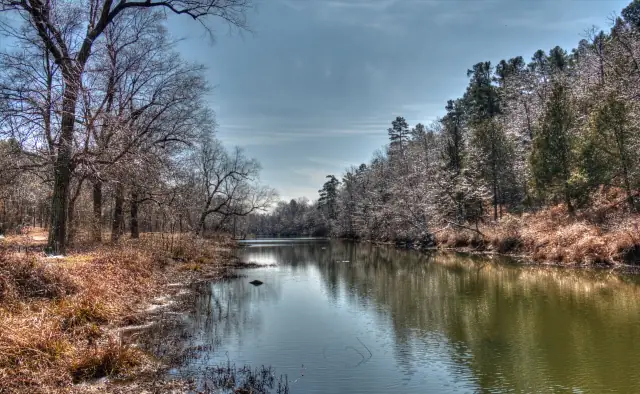 Frost on the trees along Fourche Maline Creek in winter